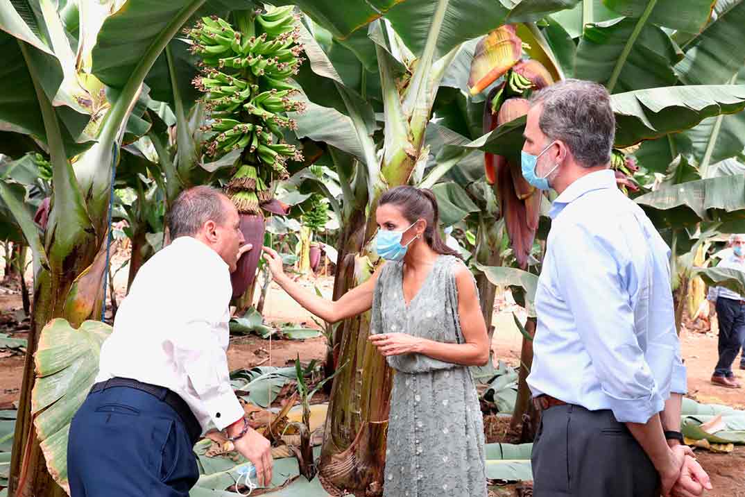 Reyes Felipe y Letizia - Visita Islas Canarias © Casa S.M. El Rey