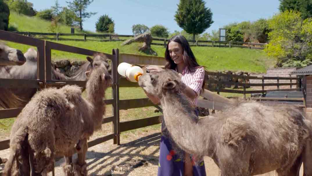 Viajeros Cuatro-Cantabria- Cabárceno © Mediaset