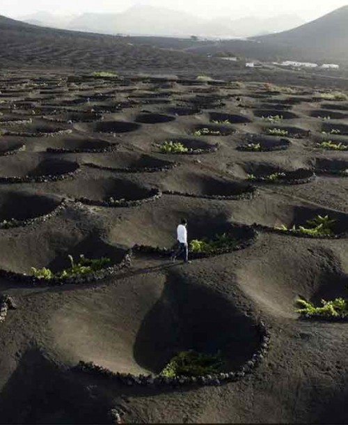 ‘Viajeros Cuatro’ pone rumbo a Lanzarote, la isla del fuego