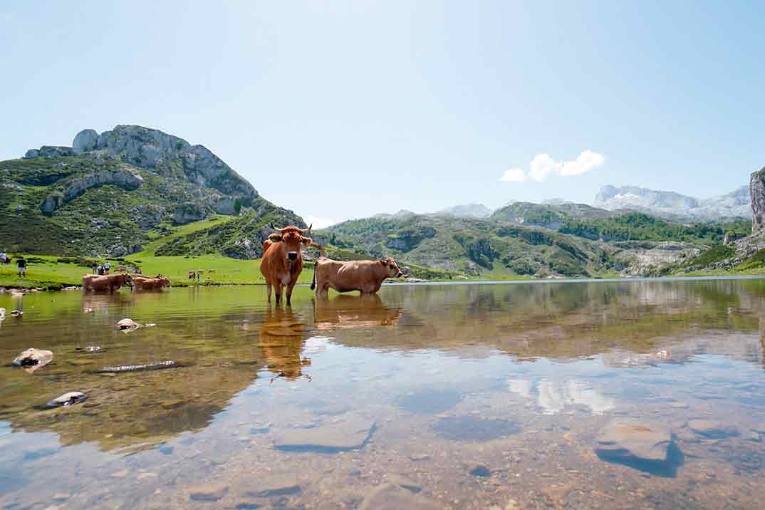 Viajeros Cuatro - Asturias © Mediaset