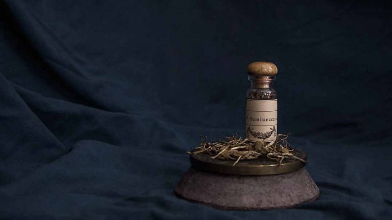 Lo que quizás no sabías de la homeopatía