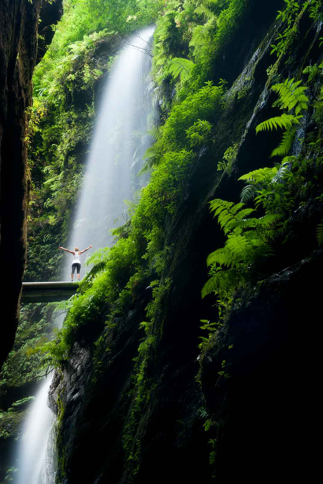 Cascada Los Tilos - La Palma © Saúl Santos