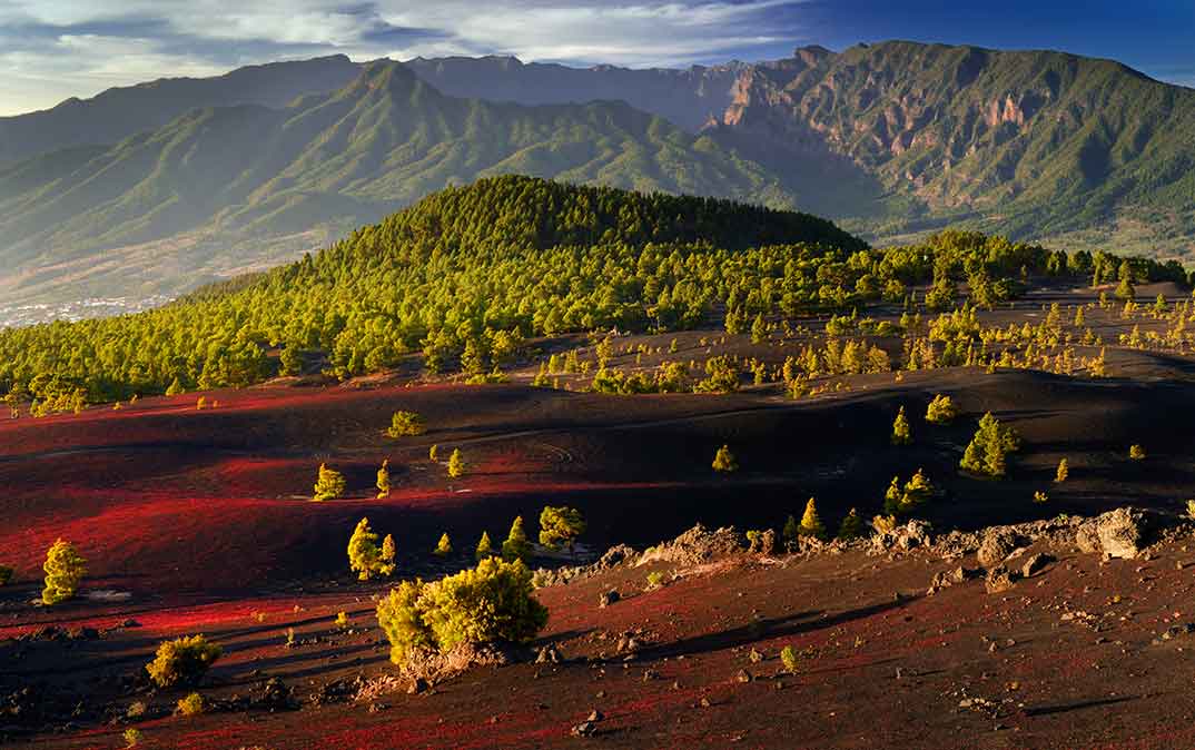 Llanos del Jable - La Palma © D. Dahncke