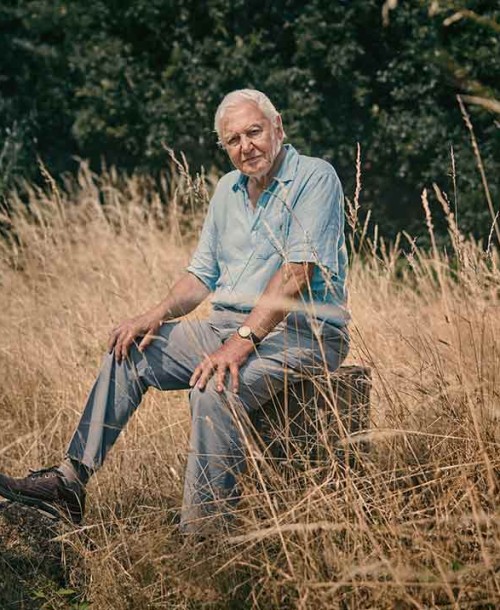 ‘Extinción’, un nuevo documental del naturalista David Attenborough, estreno en Movistar+