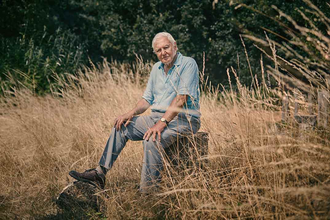 ‘Extinción’, un nuevo documental del naturalista David Attenborough, estreno en Movistar+