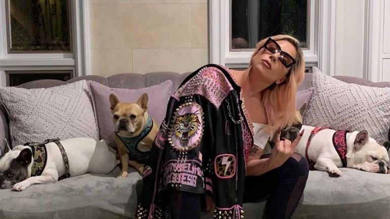 Lady Gaga ofrece más de 400.000 euros de recompensa por sus perros robados
