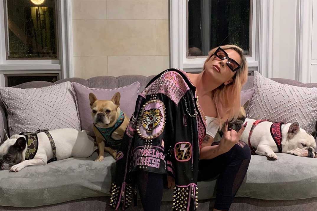 Lady Gaga ofrece más de 400.000 euros de recompensa por sus perros robados