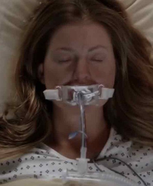 Anatomía de Grey” – Temporada 17 Capítulo 8: It´s all too much