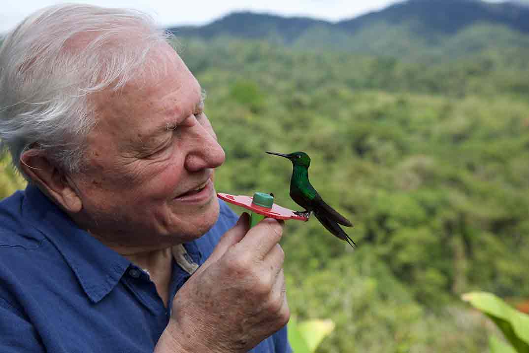 David Attenborough - La vida a todo color © Netflix