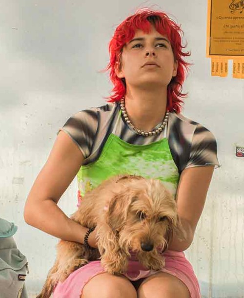 ‘Rainbow’, la nueva película de Paco León