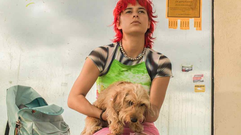 ‘Rainbow’, la nueva película de Paco León