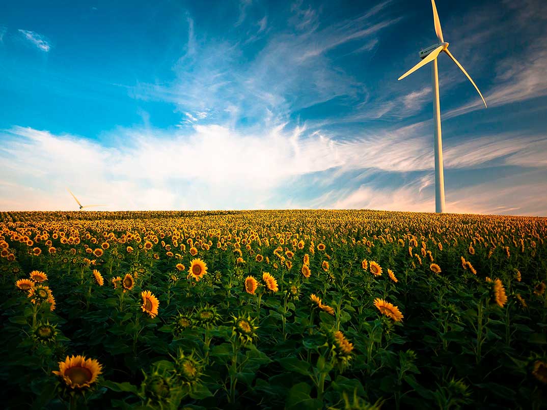 apagón energético