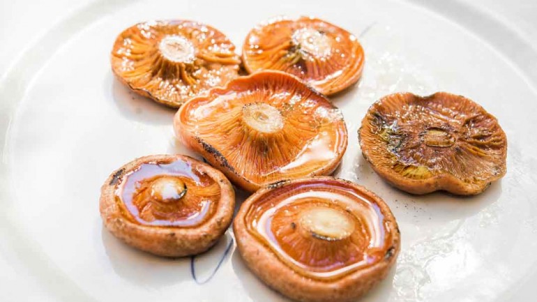 La cocina de María Luisa un impresincible para los amantes de las setas, la caza y la trufa
