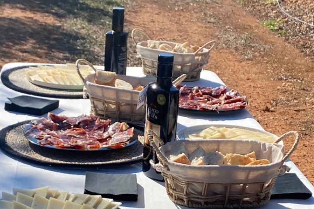 palacio-olivos-picnic