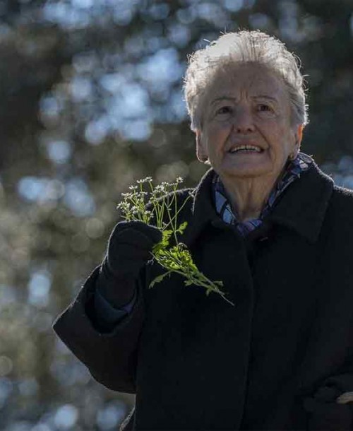 ‘Cuéntame cómo pasó’ Capítulo Especial: Herminia revive un episodio de su vida enterrado hace años