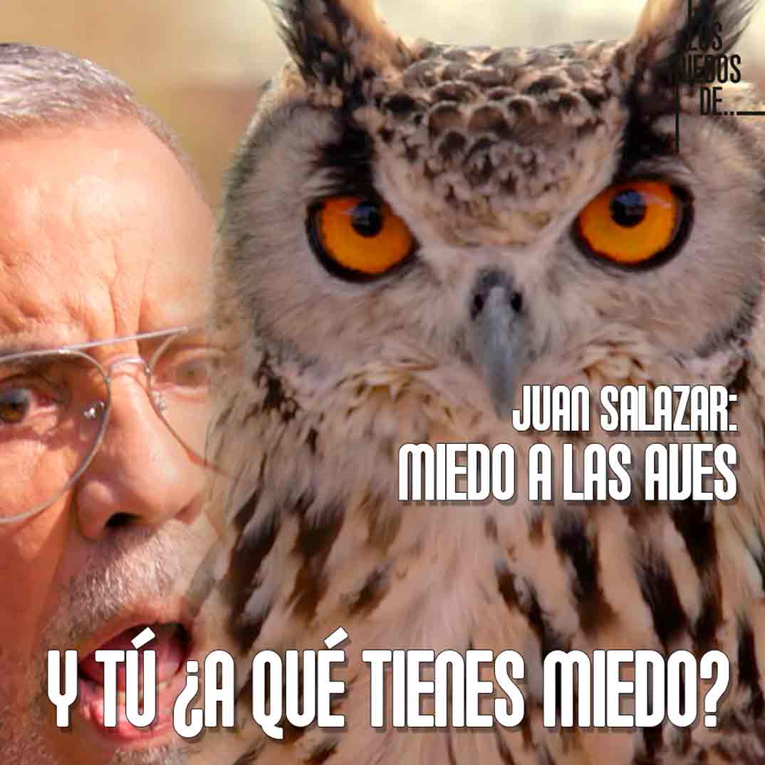 Juan Salazar - Los miedos de © Cuatro