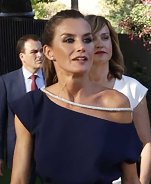 La reina Letizia suspende su agenda tras dar positivo en covid