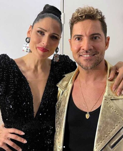 El emotivo reencuentro de David Bisbal y Rosa López sobre el escenario