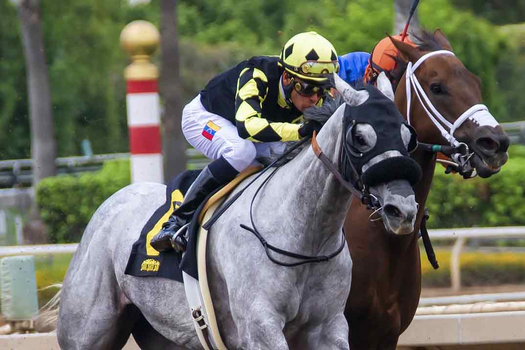 apuestas-deportivas-caballos