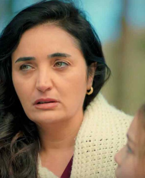 “Hermanos” Capítulo 37: Sengül ha entregado a Emel a İlknur