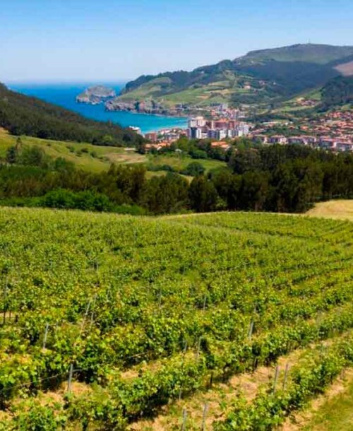 Redescubriendo el sabor de Euskadi