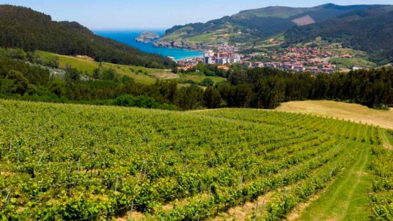 Redescubriendo el sabor de Euskadi