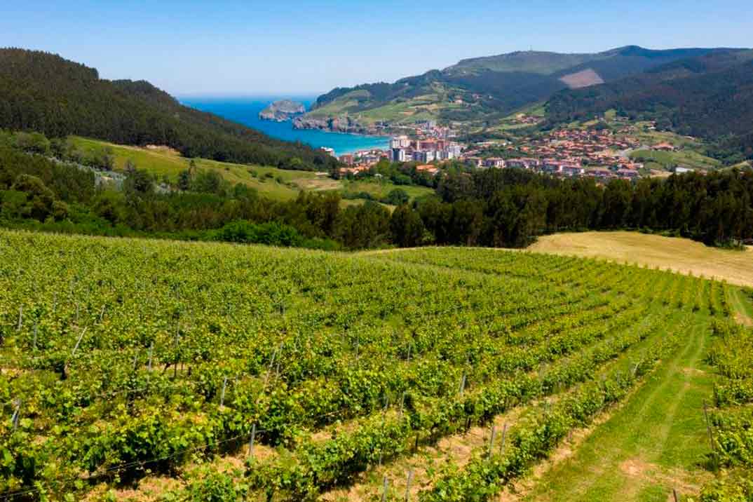 Redescubriendo el sabor de Euskadi