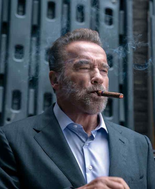 ‘FUBAR’, la primera serie de Arnold Schwarzenegger en Netflix
