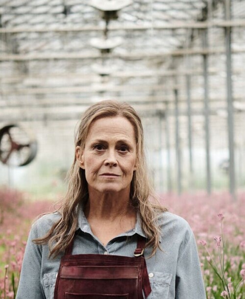 «Las flores perdidas de Alice Hart» – Estreno en Prime Video