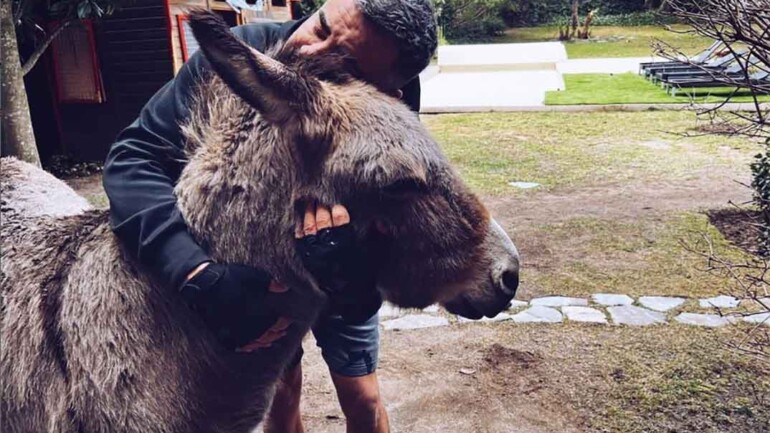 Jorge Javier Vázquez, denunciado por sus vecinos, tiene que deshacerse de su burro