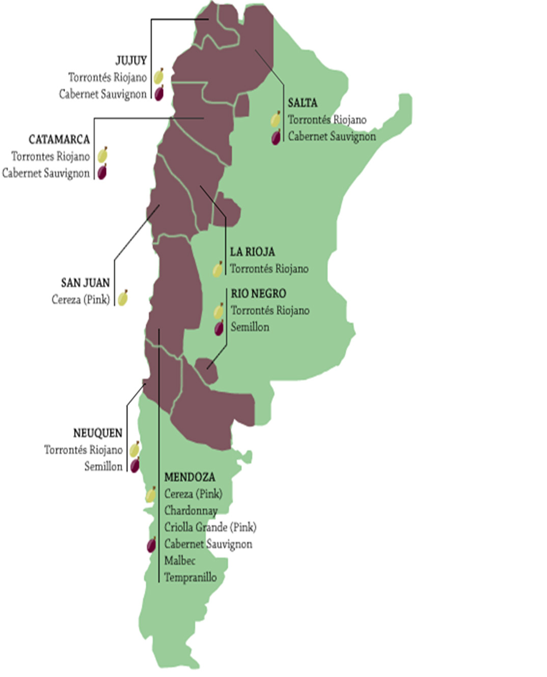 zonas-vinicolas-argentina