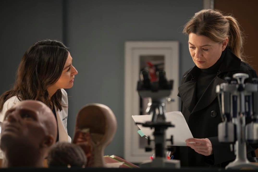 «Anatomía de Grey» Temporada 20 Capítulo 3: Walk on the Ocean