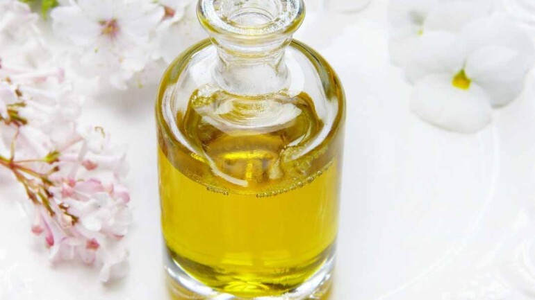 ¿Cuáles son las tendencias actuales en el sector de la perfumería?