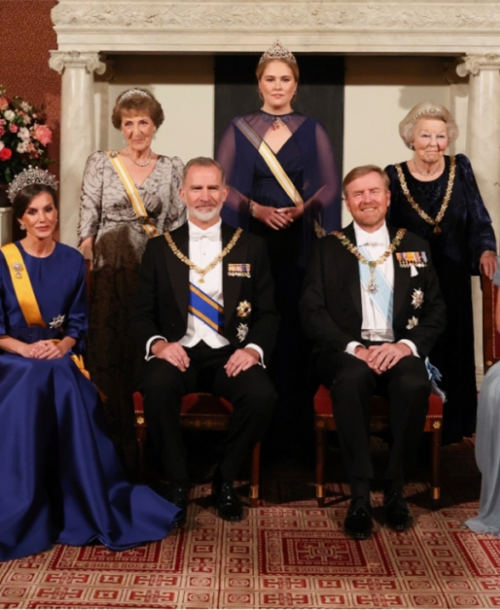 El nuevo vestido azul que ha lucido Doña Letizia en un cena de gala en Holanda no ha pasado desapercibido