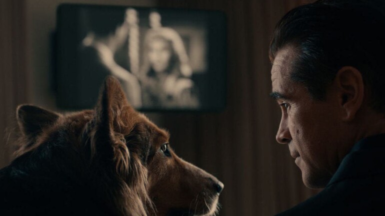 «Sugar» Capítulo 3: El cruce de Shibuya