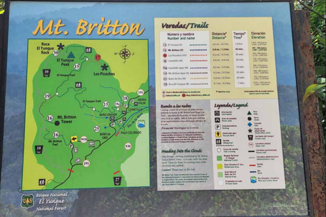 bosque-yunque-mapa