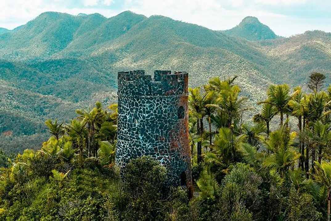 puerto-rico-bosque-yunque