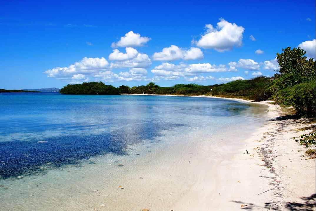 puerto-rico-playa-jungla-ponce