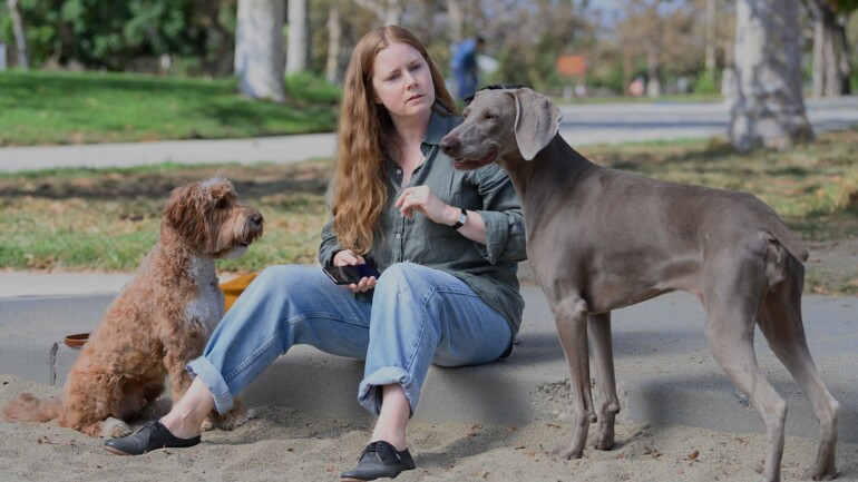 «Canina», con Amy Adams – Estreno en Disney+