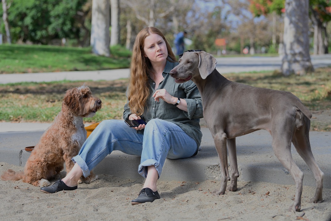 «Canina», con Amy Adams – Estreno en Disney+