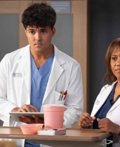 “Anatomía de Grey” Temporada 21 Capítulo 14: Love in the Ice Age