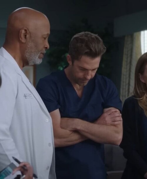 «Anatomía de Grey» Temporada 21 Capítulo 17: Love You Like a Love Song