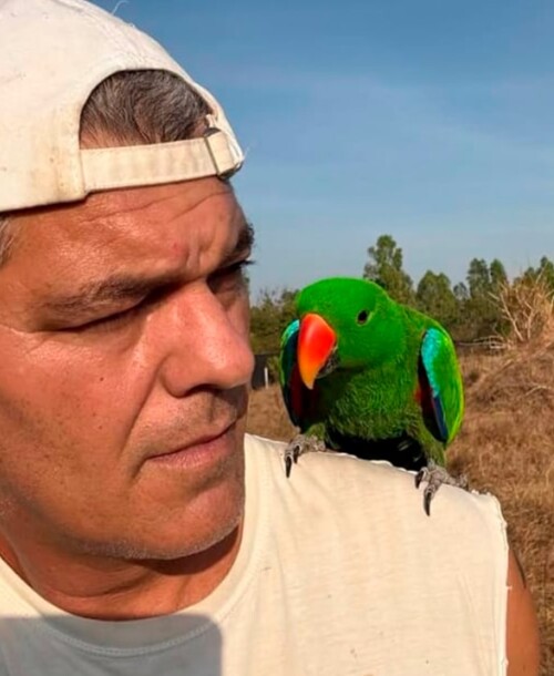 Frank Cuesta refuerza la seguridad de su santuario tras sufrir amenazas