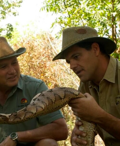 Frank Cuesta deja Tailandia a un lado y comienza un nuevo proyecto animalista en Australia