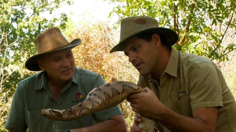 Frank Cuesta deja Tailandia a un lado y comienza un nuevo proyecto animalista en Australia