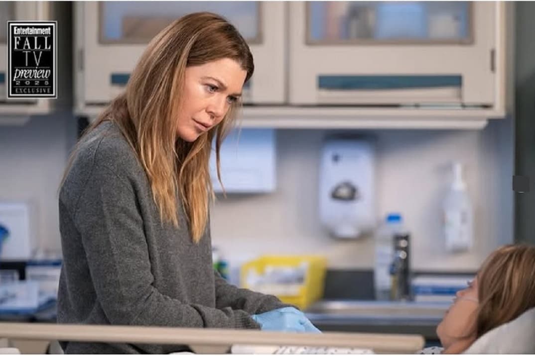 Anatomía de Grey Temporada 22 