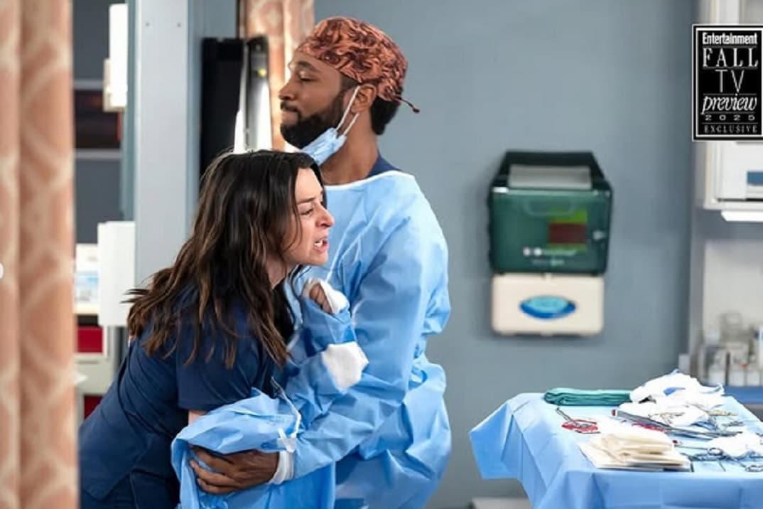 Anatomía de Grey Temporada 22 