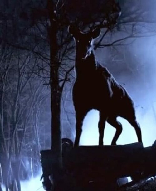 «Bambi, la Venganza»: llega a los cines la versión más salvaje del cuento