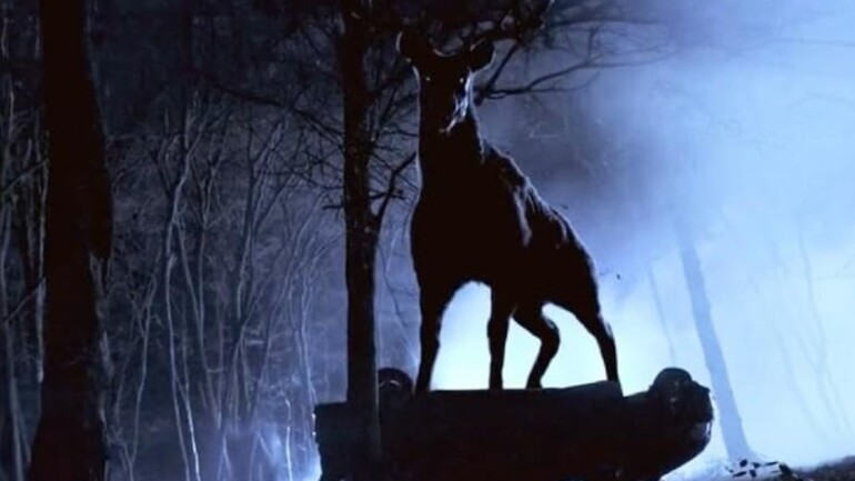 «Bambi, la Venganza»: llega a los cines la versión más salvaje del cuento