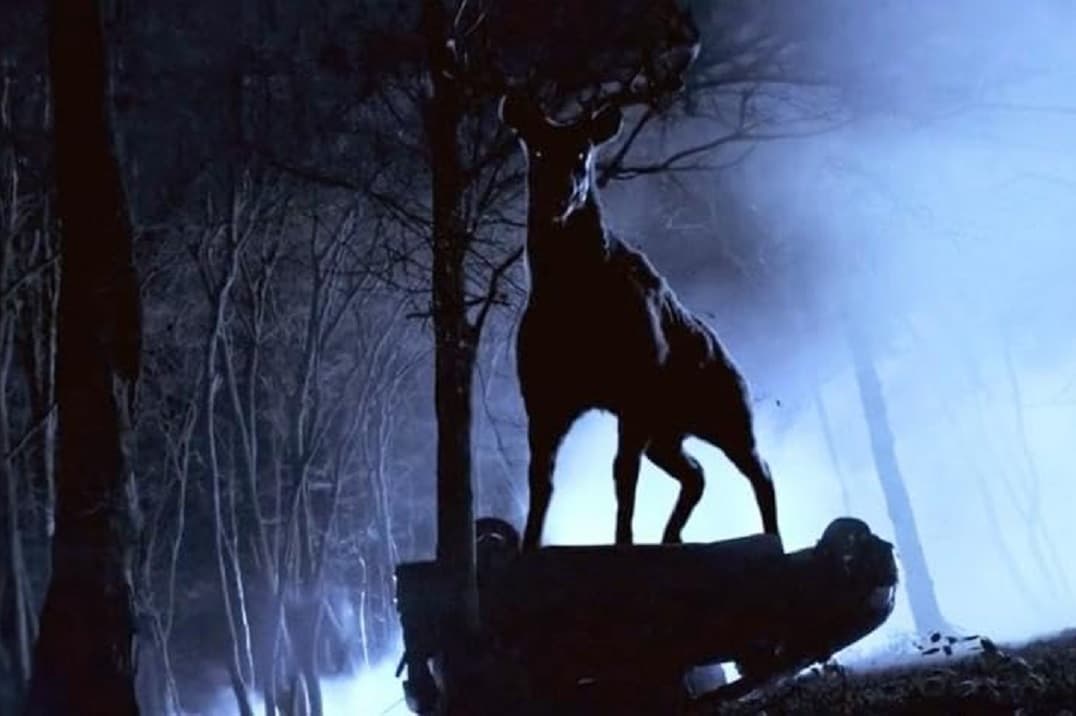 «Bambi, la Venganza»: llega a los cines la versión más salvaje del cuento